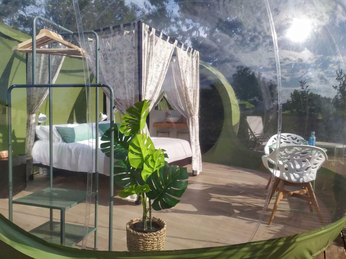 סילדה Remanso De Trasfontao Casa Das Arbores & Bubble מראה חיצוני תמונה